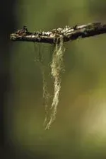 Foto: Lule-bild AB