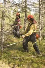 Foto: Lule-bild AB