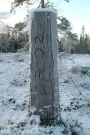 Rimfrostklädd stolpe i skogen